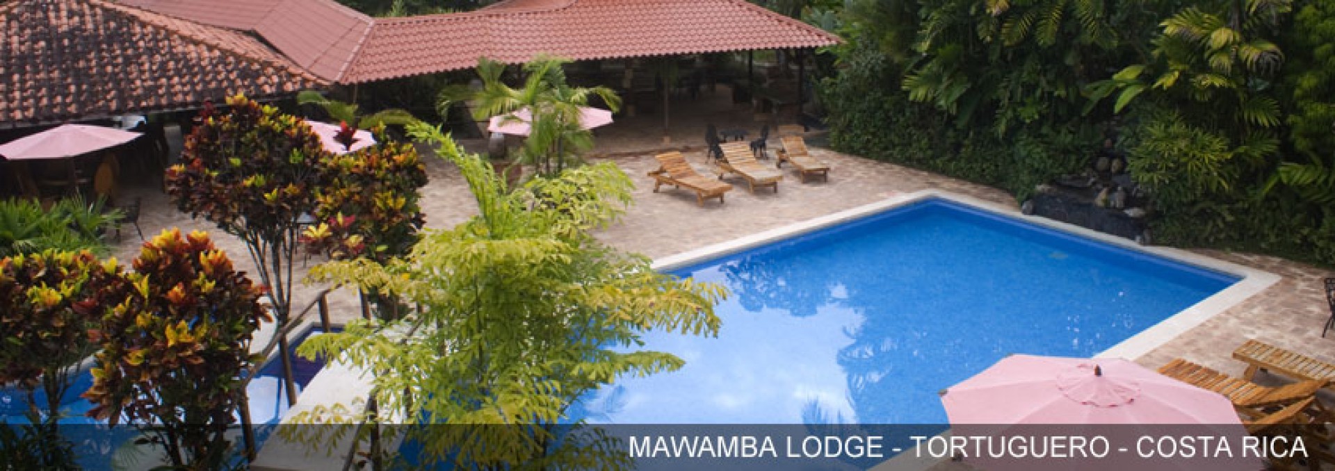 mawamba-lodge-swimming-pool_CxI7j.jpg