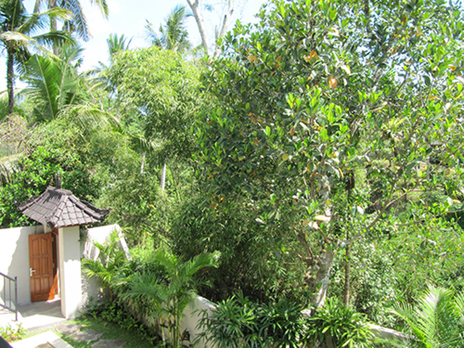 10_0r203.jpg