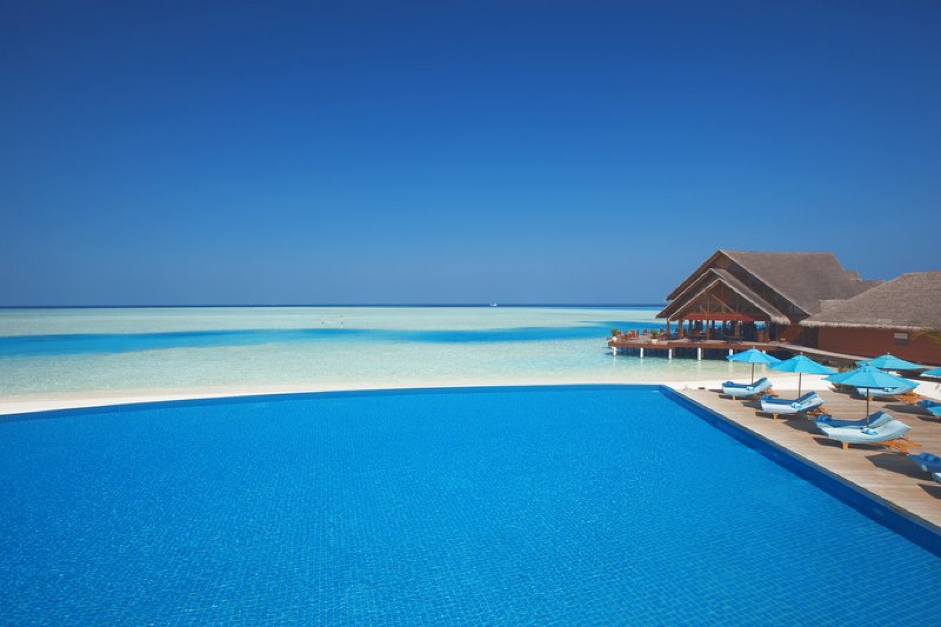 Anantara_Dhigu_Infinity_Pool_P_OJU1g.jpg