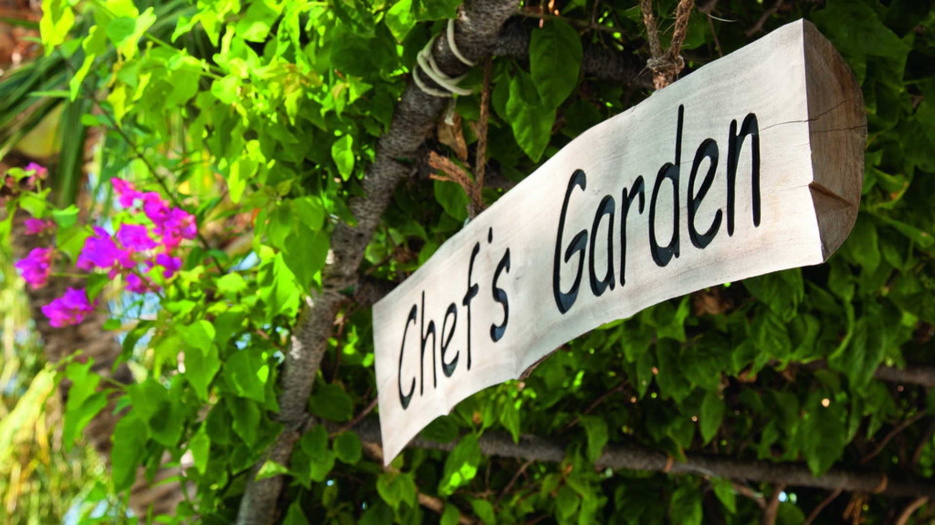 Chef_s_garden_R_FTSIg.jpg