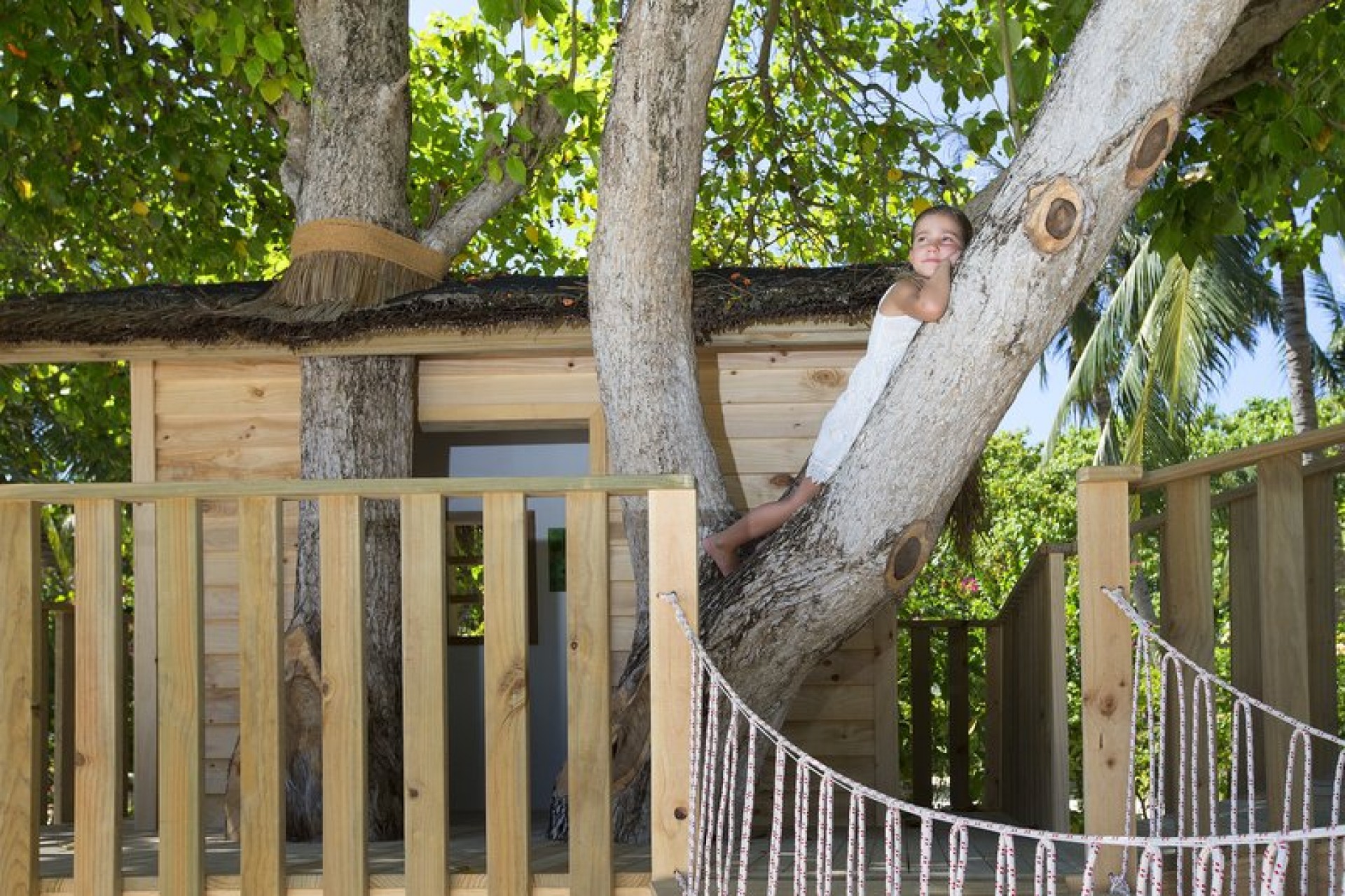 Dhoni_Club_Treehouse_1_P_0iUsv.jpg