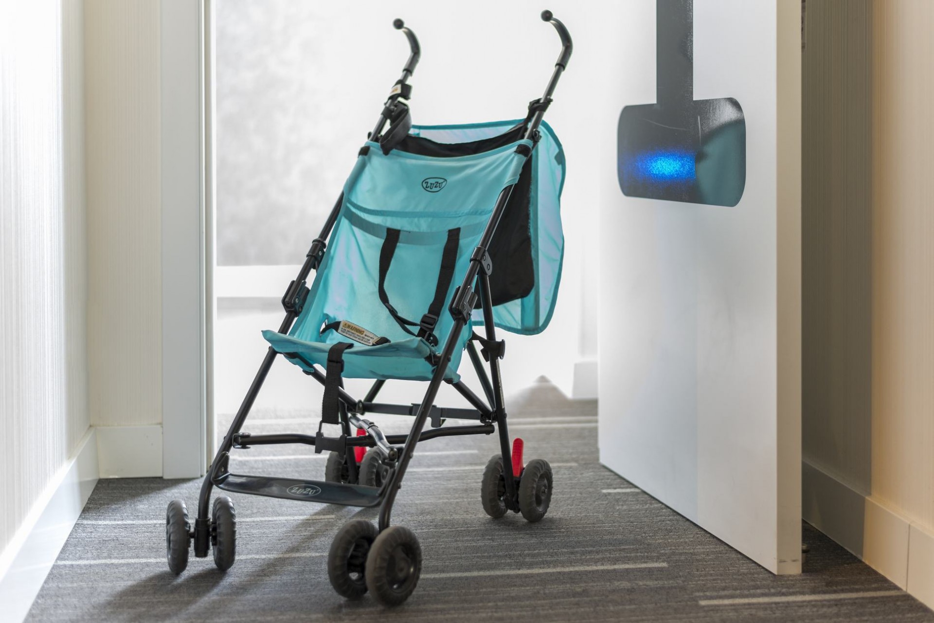 Servicio_Carrito_Paseo_SdOcS.jpg