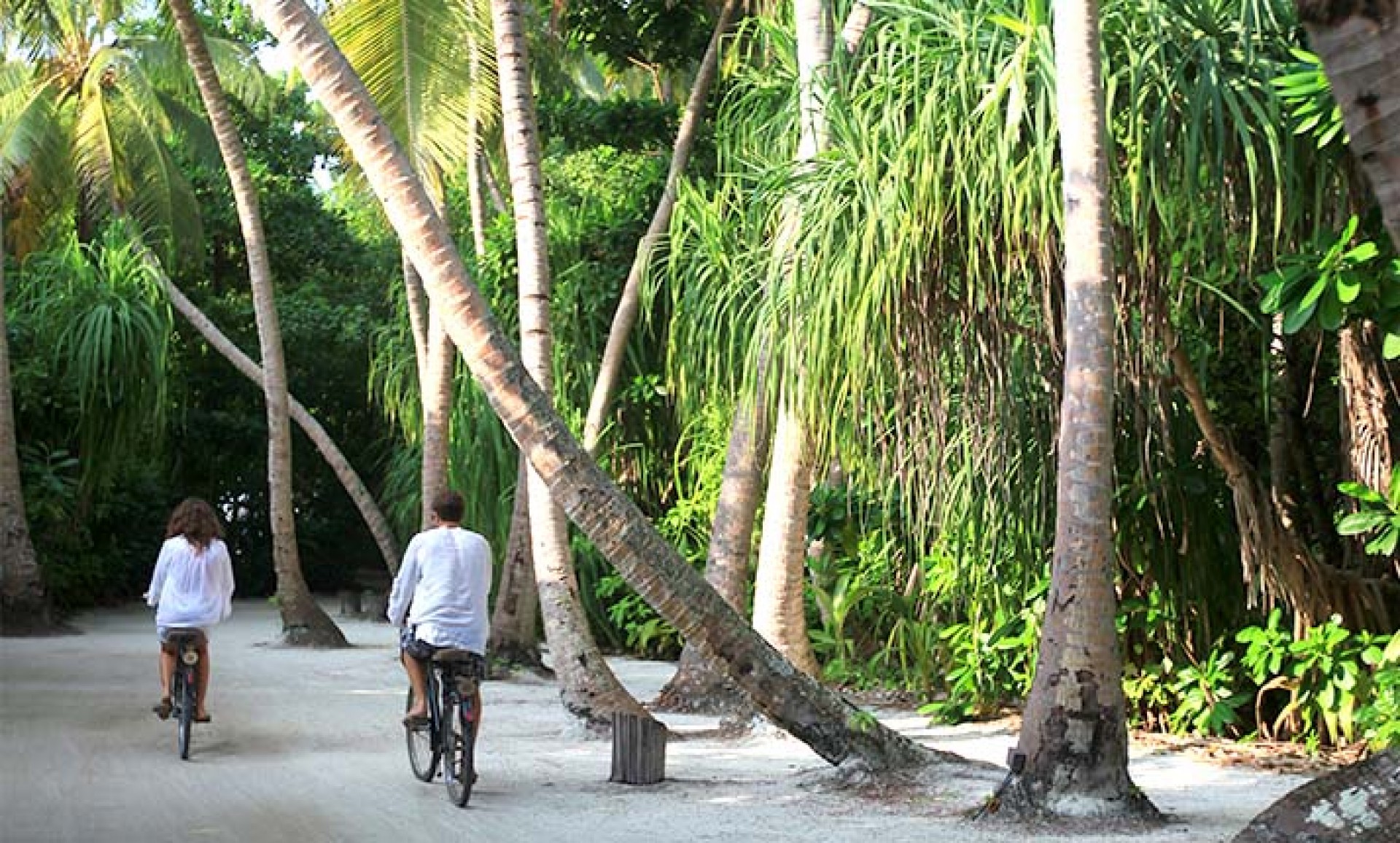 bicycle_ride_83_607_zE3fi.jpg