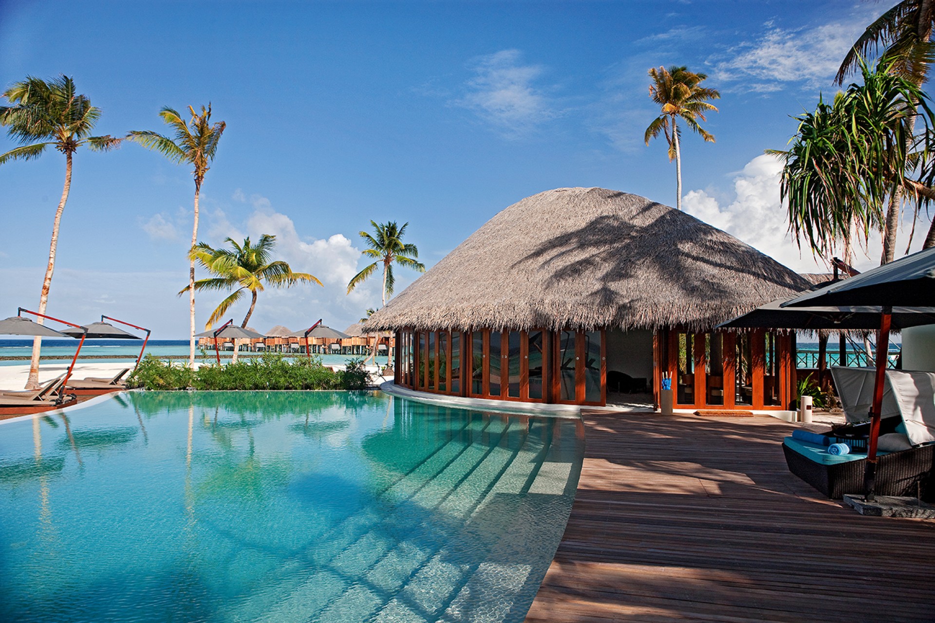 halaveli-maldives-pool-view-1_4Sgza.jpg