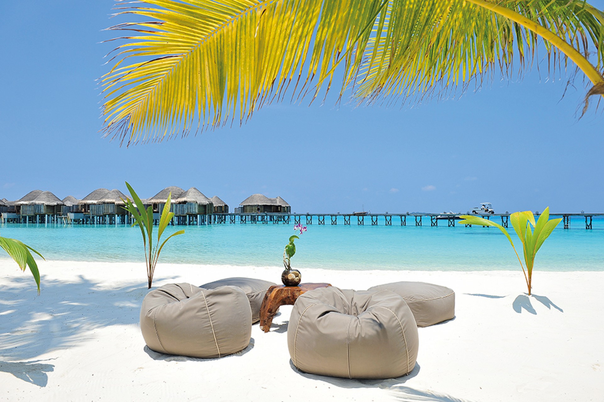 halaveli-maldives-sandy-beach-4_bqNeg.jpg