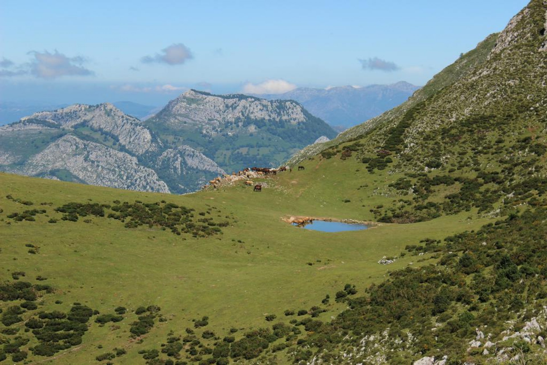 hostel_buena_ubicación_covadonga_dlNIB.jpg