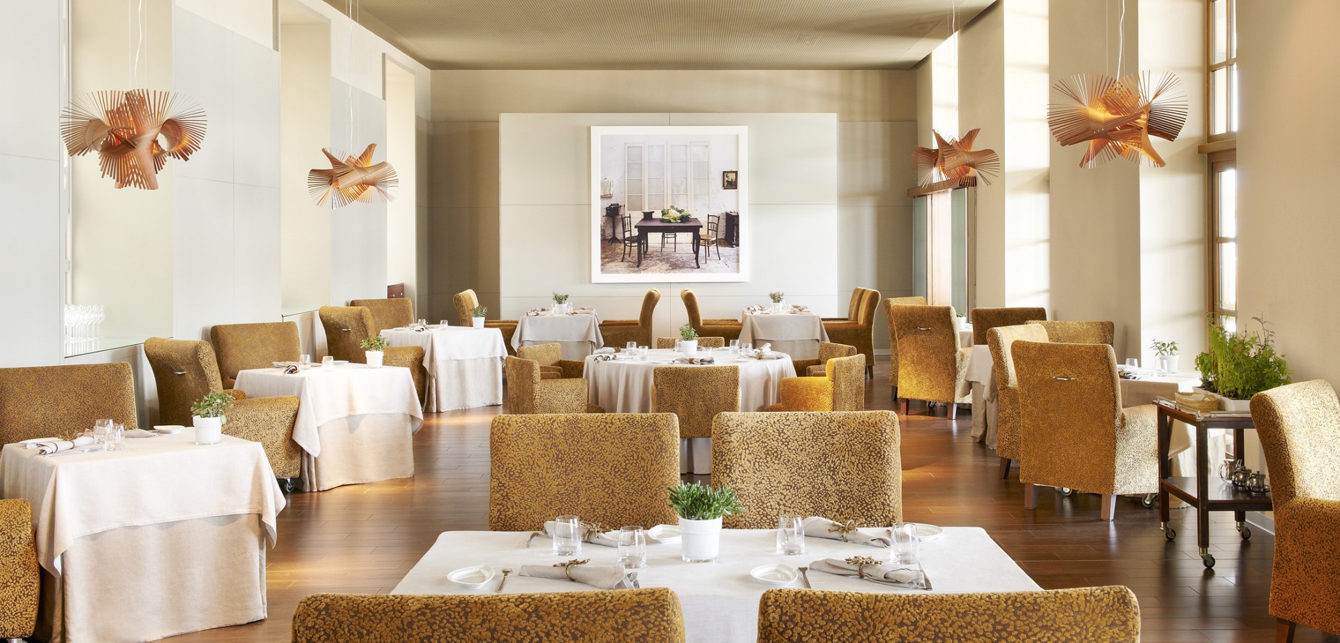 mer3037re-137552-D_O_Restaurant_Y88cw.jpg